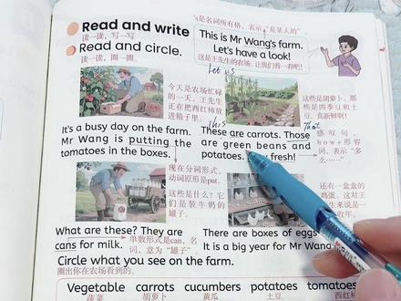 新人教PEP英语四年级下册第57页课文讲解领读