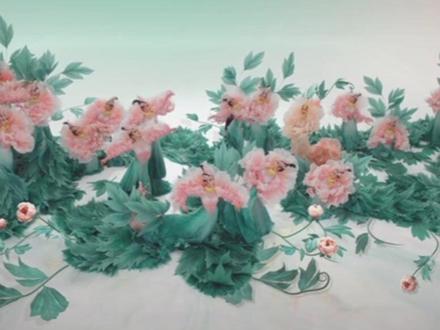 2026河南卫视杨丽萍老师的舞蹈花开富贵,佟丽娅主演