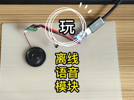 试玩离线语音模块#diy #智能家居 #电子