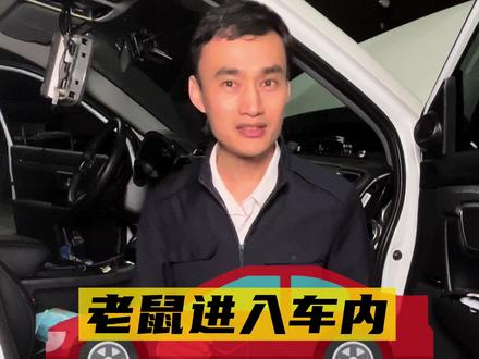 为什么老鼠会进入车内?老鼠进入车内怎么办?#每天一个用车知识 @DOU+小助手