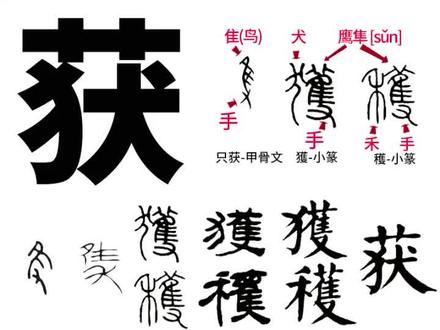 获獲穫 #说文解字 #识字 #打猎 手托着驯化的鹰隼,带着猎狗去打猎。