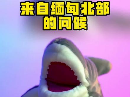 电信诈骗套路有多深?这几种电话你接到,就是被盯上来!#dou是知识点 #涨知识 #防诈骗