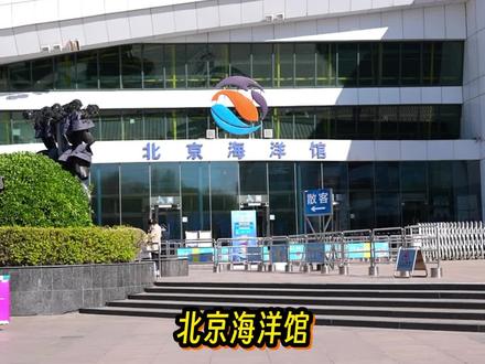 北京海洋馆能不能推婴儿车、轮椅、行李箱,一个视频回答您~ #北京海洋馆 #科普 #神奇动物在抖音 #旅行注意事项 #亲子游玩好去处 #海洋生物 #周末去哪玩