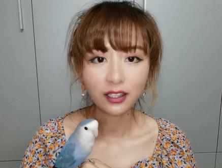 #面类牡丹鹦鹉 合法宠物小鸟的介绍 新手必备哦!如果你喜欢手养鸟赶紧关注我吧