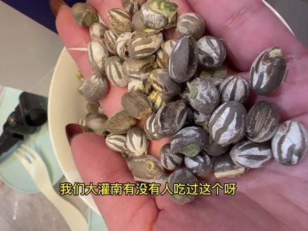有没有吃过杨辣罐的(羊毛辣子的蛹)
盐焗杨辣罐,高蛋白,跟我们豆丹大同小异。
