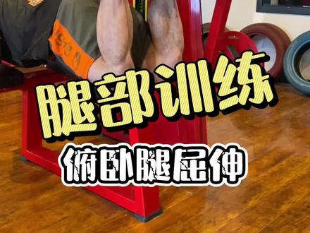每个练腿日都是健身人最痛苦的~~健身不练腿迟早要YW#健身教学 #健身干货 #健身细节 #腿部训练
