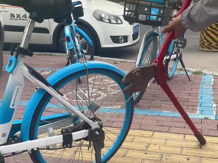 共享单车找回名场面,有的人是真犟啊 #共享单车 #整治不良风气 #看一遍笑一遍