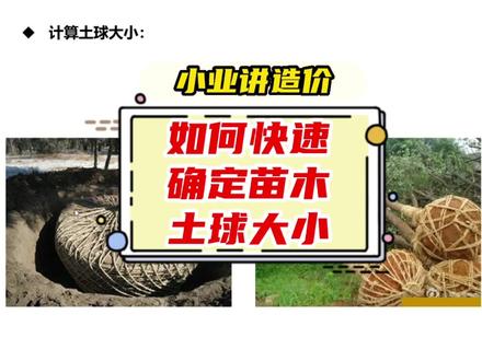 小业讲造价→如何快速确定苗木土球大小?#工程造价 #知识分享 #景观园林#土木工程