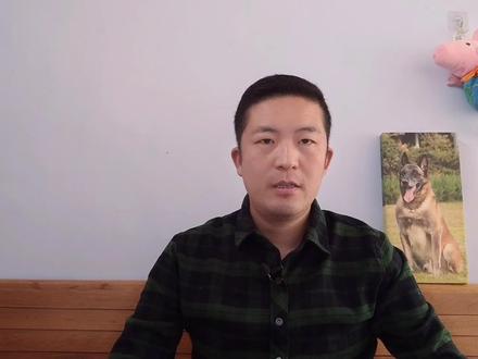 聊聊杜宾 最帅也是最尴尬的工作犬种