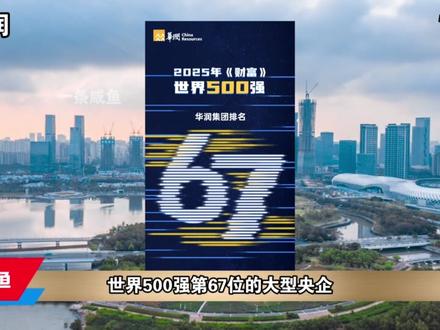 反腐的风吹到了华润集团|韩嵩的落马 #廉政 #民生 #我的观影报告 #真实事件 #民生关注
