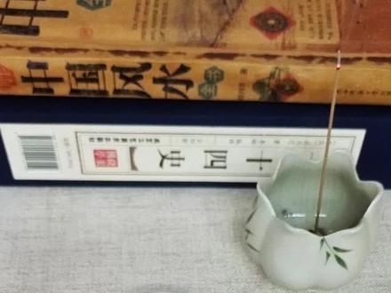 道系流珠万能搭配教程,黄花梨108颗文玩手串搭配。#文玩手串搭配 #道系流珠 #道系青年 #文玩手串 #黄花梨手串