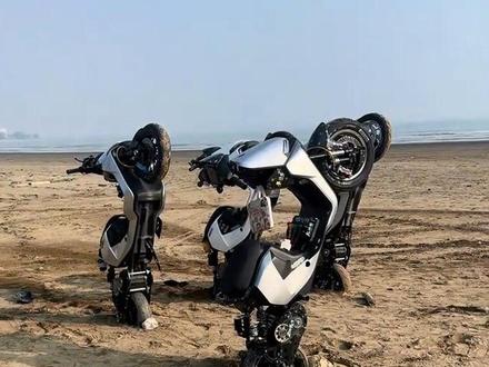 你说你的二级传动比我们的帅 那你的能起立吗
#二级传动 #九号机械师