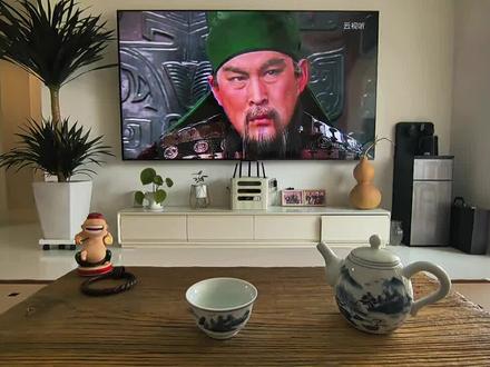 玉可碎而不可改其白,
竹可焚而不可毁其节。
#三国演义