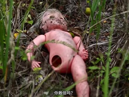 吃掉核辐射的真菌? #科普一下 #科普