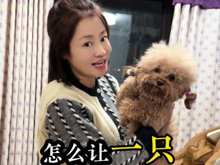 怎么让一只小狗快速入睡?#小狗睡觉