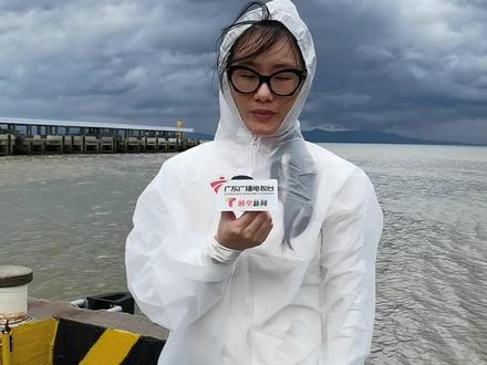 7月20日凌晨5时,江门台山市气象台将台风橙色预警信号升级为红色。为应对台风,川山群岛海域自19日12:30起全面停航。山咀码头末班船于19日12:30驶离,两岛末班船12:15发出后,所有客运航线中断。