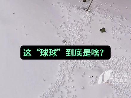 东北下了雪,你说那是保丽龙,那其实是霰(xiàn)~#大东北的雪 #雪 #东北第一场雪