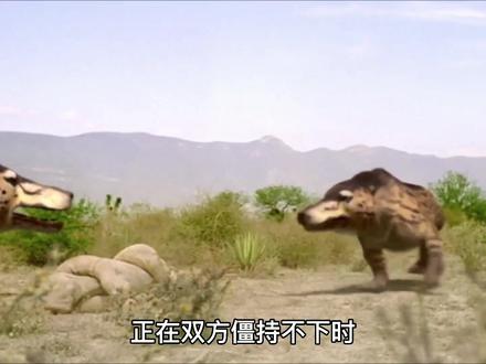 4800万年前的安氏兽有多狠,敢从长角雷兽的口中夺食