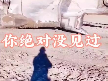 它叫比塞洛斯8750自重5300吨,一铲130吨。#工程机械 #大型机械 #神华集团