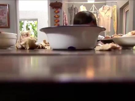 春暖花开外孙女从国外回来老太太听不懂英语大孙子过来救急