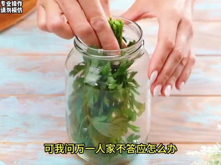 龙神看相师#小说 #diy #小说推荐