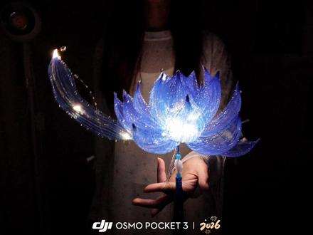 怎样才能让好朋友刷到 然后亲手给我做这个悬浮花呢#手工diy #悬浮花 #王者荣耀 #玩个很新的东西