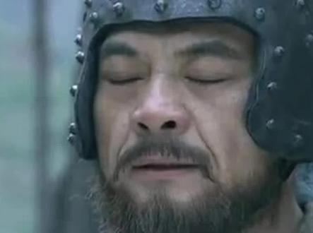 魏延为何不被诸葛亮重用? #历史故事 #历史 #三国历史