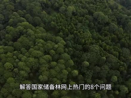 解答国家储备林网上热门的8个问题(三)储备林项目利润点在哪?
