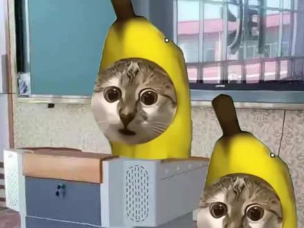 阿凡提《师生版》#阿凡提 #搞笑 #鬼畜 #学生#猫meme 原创 @狮子松松(冲百万版)