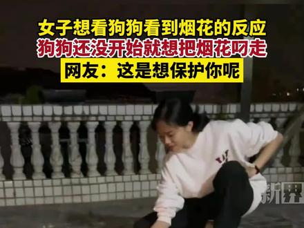 女子想看狗狗看到烟花的反应 狗狗还没开始就想把烟花叼走 网友:这是想保护你呢#烟花 #宠物 6