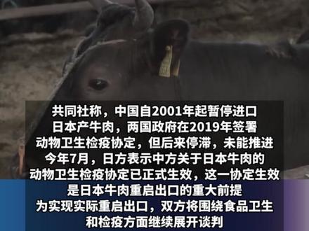 日媒:据中方的意向,有关恢复日本牛肉对华出口的政府间磋商已中止