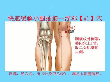 #上市周年亿起领分红 浮郄穴在这里