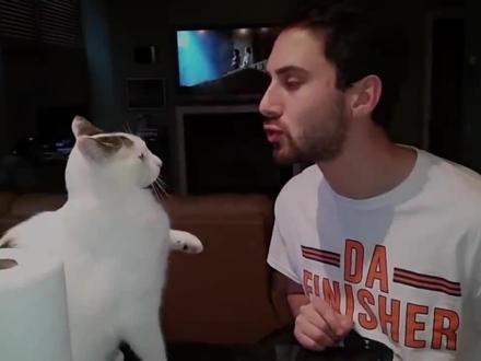 猫拒绝被主人亲吻,并不是嫌弃主人,而是爱主人