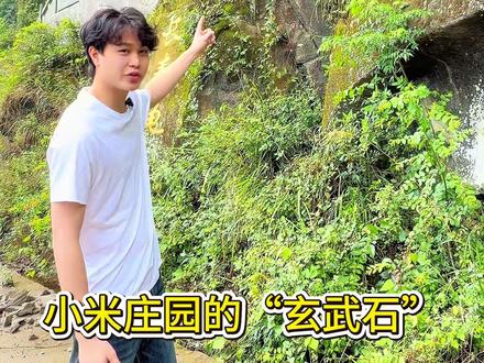 小米庄园隐藏打卡攻略!山顶玄武石!打卡玄武趴窝!
欢迎全国各地网友们前来打卡!#竣哥#小米庄园