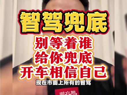 等智驾兜底?还是相信自己? #智驾 #带你懂车 #净化车圈 #凯文龙说车