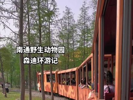 南通野生动物园有森迪环游记了,只要60,体验不一般的旅行 #动物园承载了一天的快乐 #心动五一 #心动五一#森迪环游记#我的动物邻居