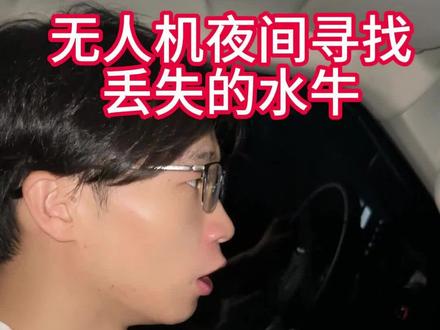 #热成像 #无人机 用热成像无人机寻找夜间丢失的水牛