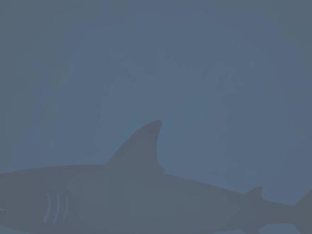 蓝剑航天概念梳理,宝子们新年快乐! #财经 #金融 #热点 #股票 #复盘