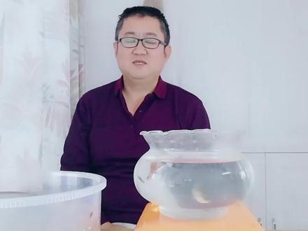 看懂了孔雀鱼下小鱼的三个征兆,两年之内十条变千条不是梦