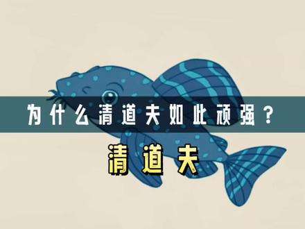 清道夫的生命力究竟有多顽强?晒干、电击、砍头都不能将其消灭 #清道夫 #动物科普 #涨见识 #涨知识 #科普一下 #知识创作人 #知识分享 #奇闻奇事 #科普一下 #鱼