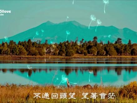 江蕙《海海人生》 #闽南语歌曲 #努力向前