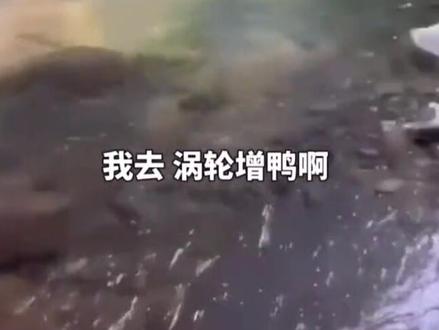 原来涡轮增鸭是这么来的😂