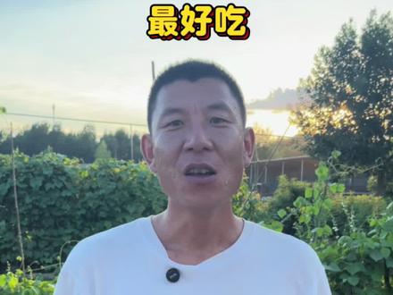 测试鹅蛋煮多久口感更好吃!#鹅蛋#煮鹅蛋 #新农人计划