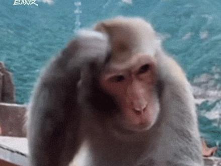 丽萍,你到底吃过早餐没?