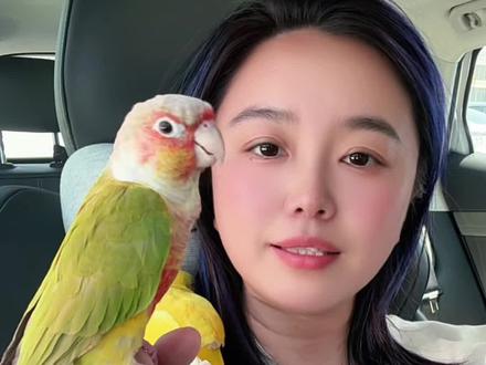 鹦鹉如何说话 #我和我的鹦鹉 #小太阳鹦鹉说话 #和尚鹦鹉说话 #鹦鹉怎么教它说话