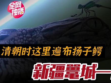 新疆清代竟然遍地扬子鳄!鼍城巴里坤,被微缩了的新疆