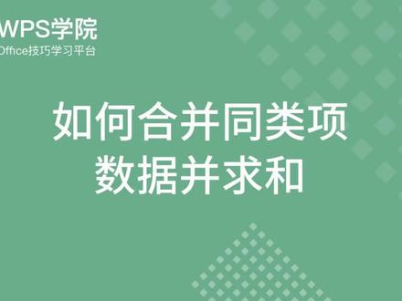 WPS excel 技巧7 如何合并同类项数据并求和#office