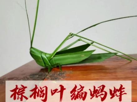 #热门 #非物质文化遗产 #手工 #你比想象的更超能 有想学的朋友,或者学不会的朋友可以关注我哦!弘扬传统文化!