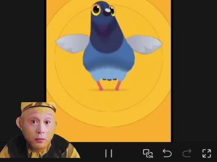 疯狂的鸽子卡点效果教程来了,实在是太魔性了#剪辑教程 #剪辑 #剪映教程 #手机剪辑教学 #疯狂的鸽子