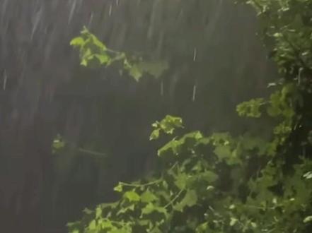 不去提雨的话怎么描写雨很大.